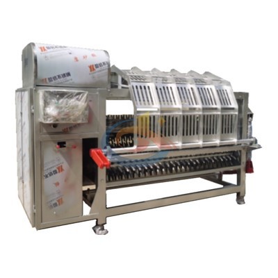 Introduction To Sheep Slaughter And Hair Removal Machine Equipment